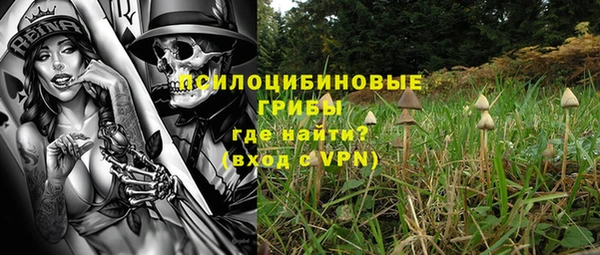твердый Алексеевка