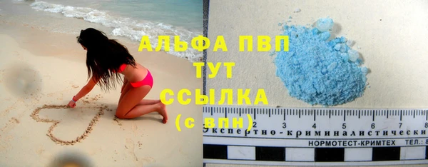 сатива Алзамай