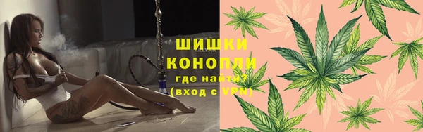 сатива Алзамай