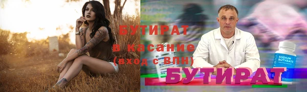 сатива Алзамай