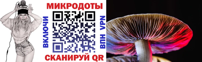 наркотики Сосновый Бор Псилоцибиновые грибы ЛСД