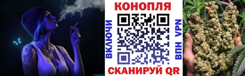 магазин продажи наркотиков  Сосновый Бор  Бошки марихуана индика 